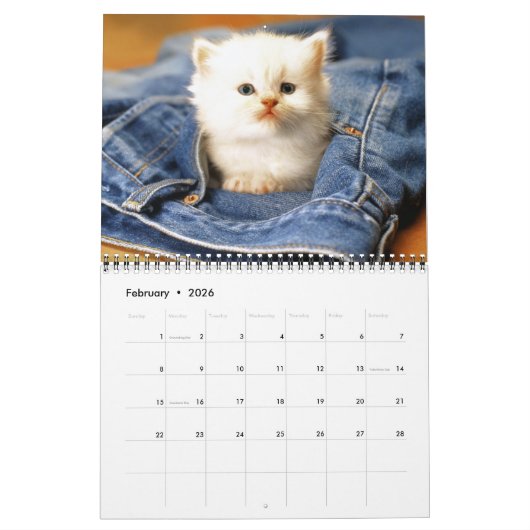 Calendrier Medium Size Kittens Calendar (Feb 2026)