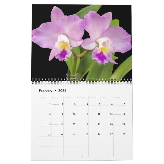 Calendrier Medium Size Orchids Calendar (Feb 2026)