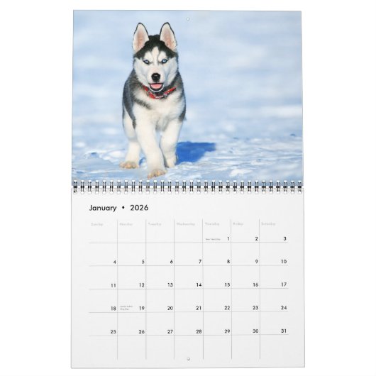 Calendrier Medium Size Puppy Love Calendar (Jan 2026)