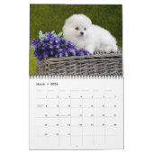 Calendrier Medium Size Puppy Love Calendar (Mar 2026)