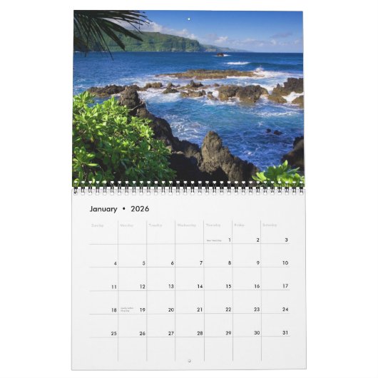 Calendrier Medium Size Tropics Paradise Calendar (Jan 2026)