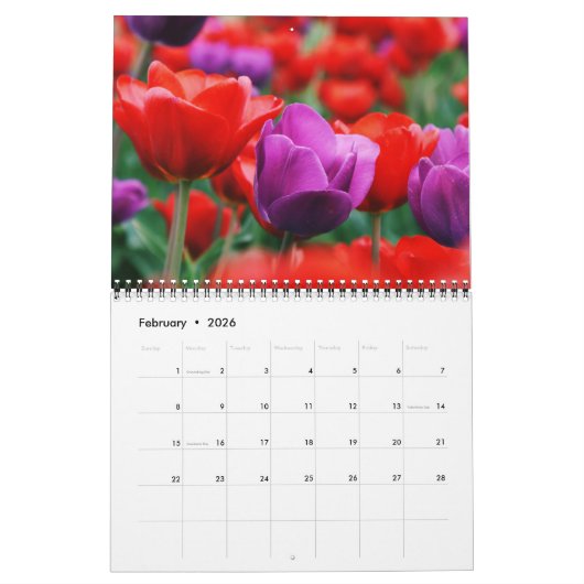 Calendrier Medium Size Tulips Calendar (Feb 2026)