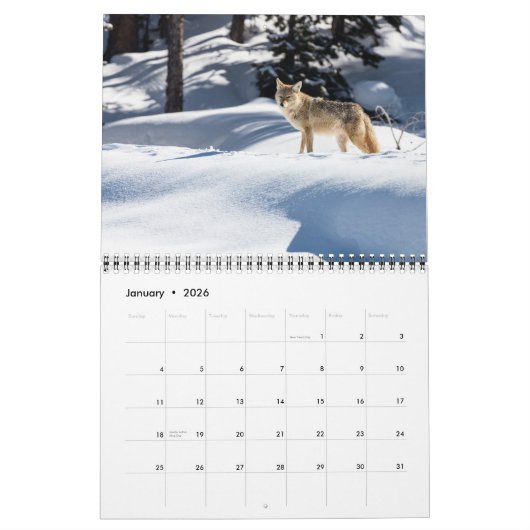 Calendrier Medium Size Yellowstone Park Calendar (Jan 2026)