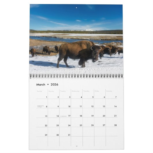 Calendrier Medium Yellowstone Park Calendar (Mar 2026)
