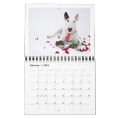 Calendrier MediumCalendar de deux pages, blanc (Feb 2026)