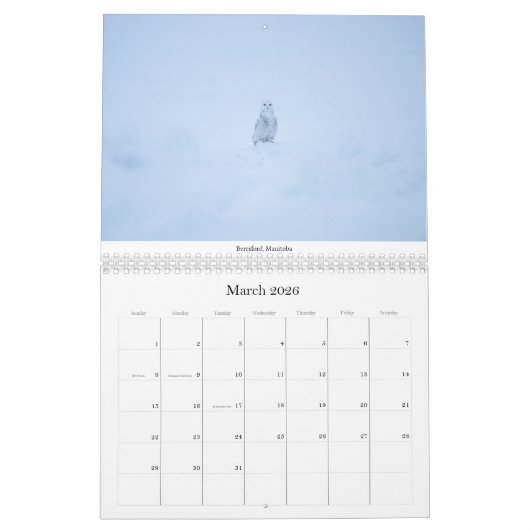 Calendrier MediumCalendar de deux pages, blanc (Mar 2026)