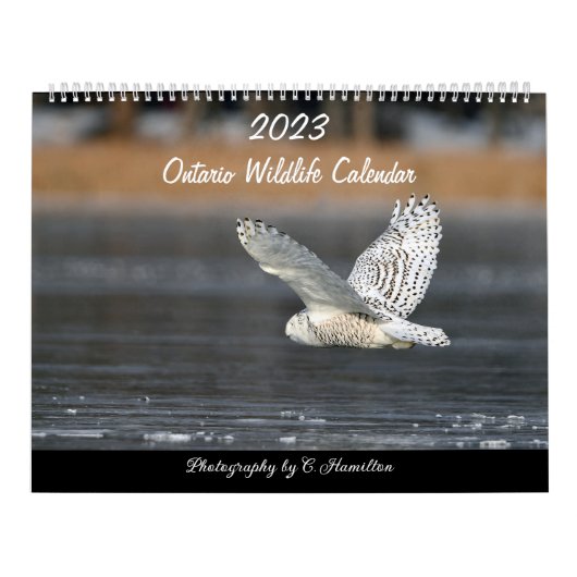 Calendrier MediumCalendar de deux pages, blanc (Protection)