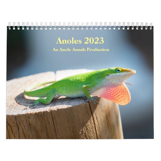 Calendrier MediumCalendar de deux pages, blanc (Protection)