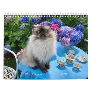 Calendrier MediumCalendar de deux pages, blanc
