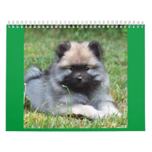 Calendrier MediumCalendar de deux pages, blanc
