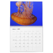 Calendrier Méduse 2026 (Mar 2027)