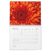 Calendrier Méduses (Feb 2027)