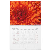 Calendrier Méduses (Feb 2026)