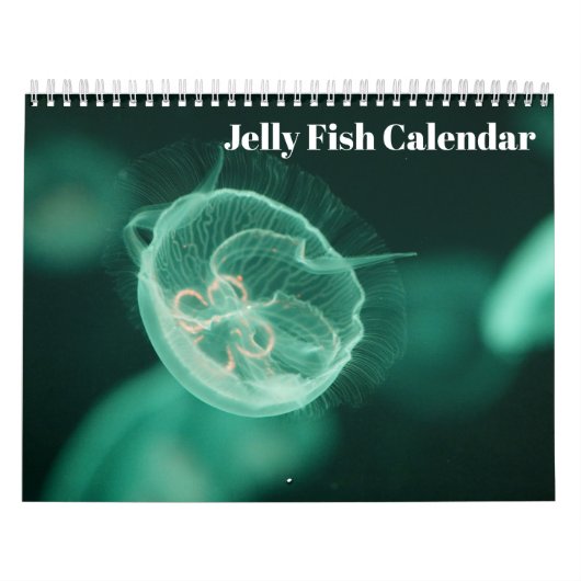 Calendrier Méduses 2025 (Protection)