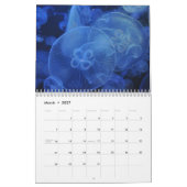 Calendrier Méduses 2025 (Mar 2027)