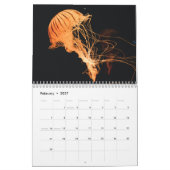 Calendrier Méduses 2025 (Feb 2027)