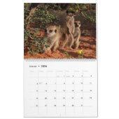 Calendrier Meerkat Pups du KMP 2024 (Jan 2026)