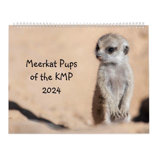 Calendrier Meerkat Pups du KMP 2024 (Protection)