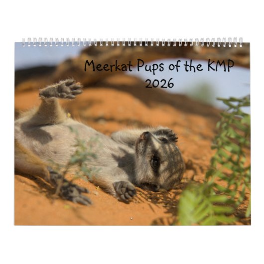 Calendrier Meerkat Pups of the KMP 2026 Calendar (Protection)