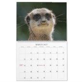 Calendrier Meerkats (Mar 2027)