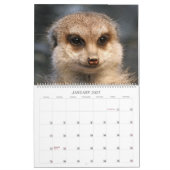 Calendrier Meerkats (Jan 2027)