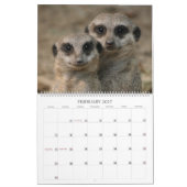 Calendrier Meerkats (Feb 2027)