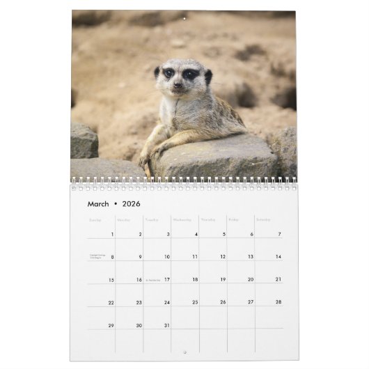 Calendrier Meerkats (Mar 2026)