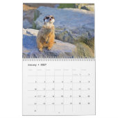 Calendrier Meerkats (Jan 2027)