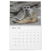 Calendrier Meerkats (Feb 2027)