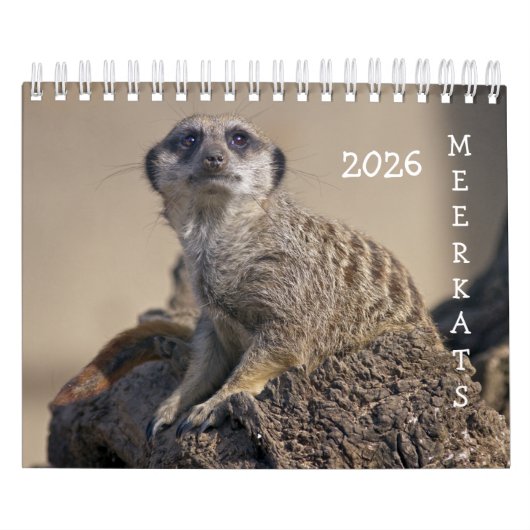 Calendrier Meerkats (Protection)