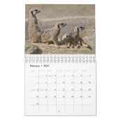 Calendrier Meerkats (Feb 2027)