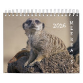 Calendrier Meerkats (Protection)