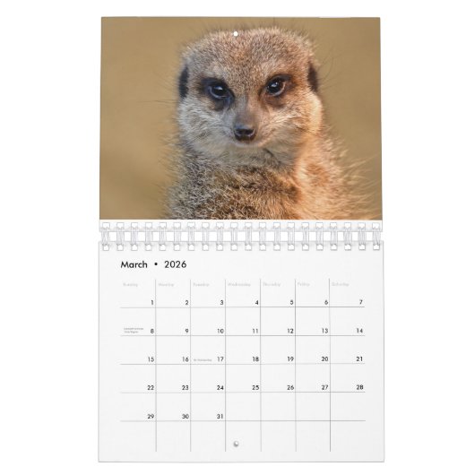 Calendrier Meerkats (Mar 2026)