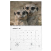 Calendrier Meerkats 001 (Feb 2027)