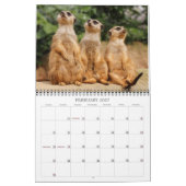 Calendrier Meerkats 002 (Feb 2027)