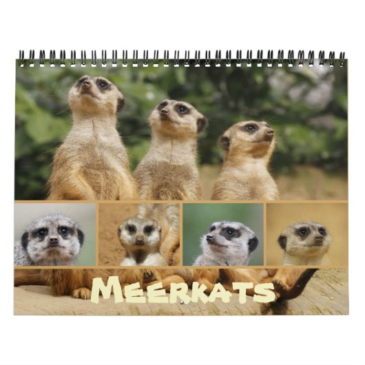 Calendrier Meerkats 002 (Protection)