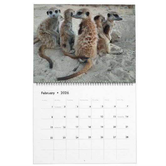Calendrier Meerkats 2021 (Feb 2026)