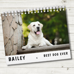 Calendrier Meilleure photo de chien