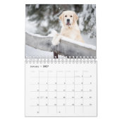 Calendrier Meilleure photo de chien (Jan 2027)