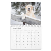 Calendrier Meilleure photo de chien (Jan 2026)