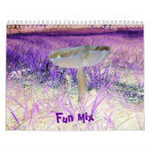 Calendrier Mélange-Multi-Conception-Calendrier d'amusement (Protection)