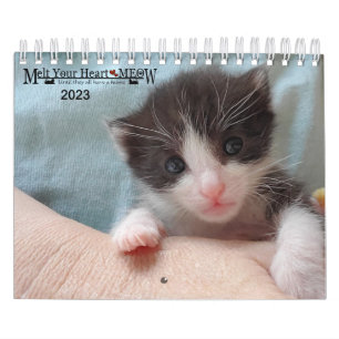Calendrier Melt Your Heart - MEOW 2023 Kitten Calendar