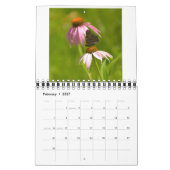 Calendrier Ménagerie (Feb 2027)