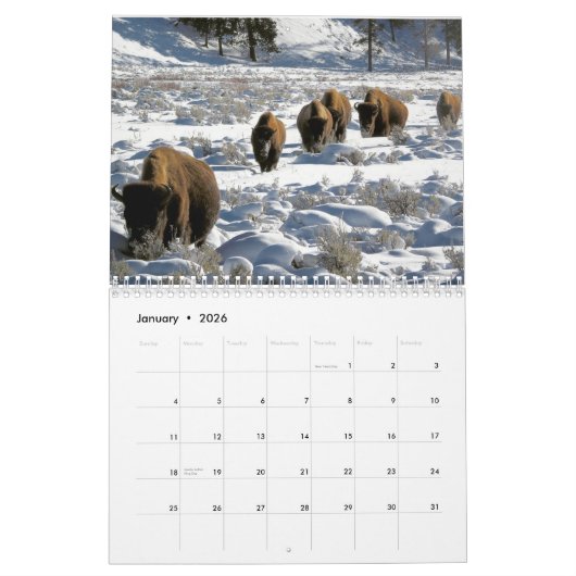 Calendrier mensuel des bisons - Édition Parcs nati (Jan 2026)