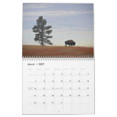 Calendrier mensuel des bisons - Édition Parcs nati (Mar 2027)
