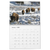 Calendrier mensuel des bisons - Édition Parcs nati (Jan 2027)