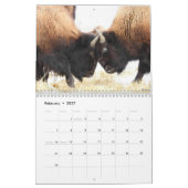 Calendrier mensuel des bisons - Édition Parcs nati (Feb 2027)