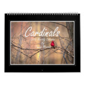 Calendrier mensuel des cardinaux 2018 par Thomas (Protection)