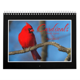 Calendrier mensuel des cardinaux par Thomas Minuto
