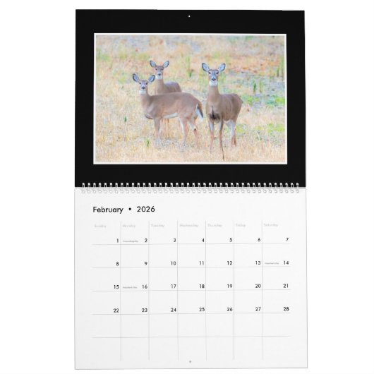 Calendrier mensuel des cerfs communs 2018 par (Feb 2026)